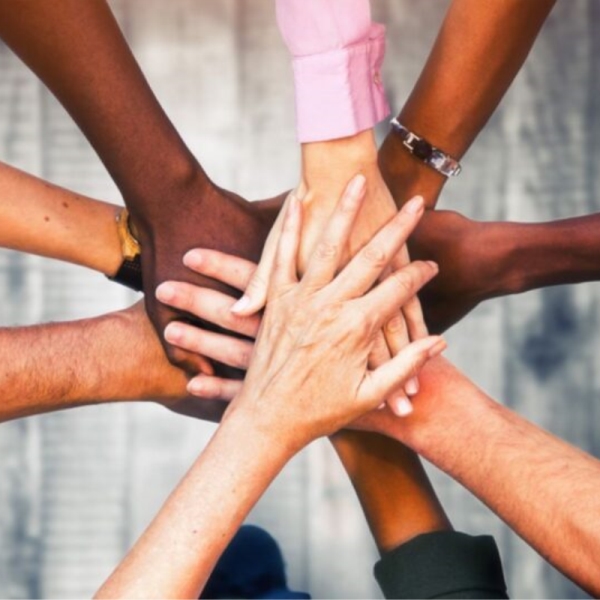 Teamwork Training – Phát triển kỹ năng làm việc nhóm hiệu quả